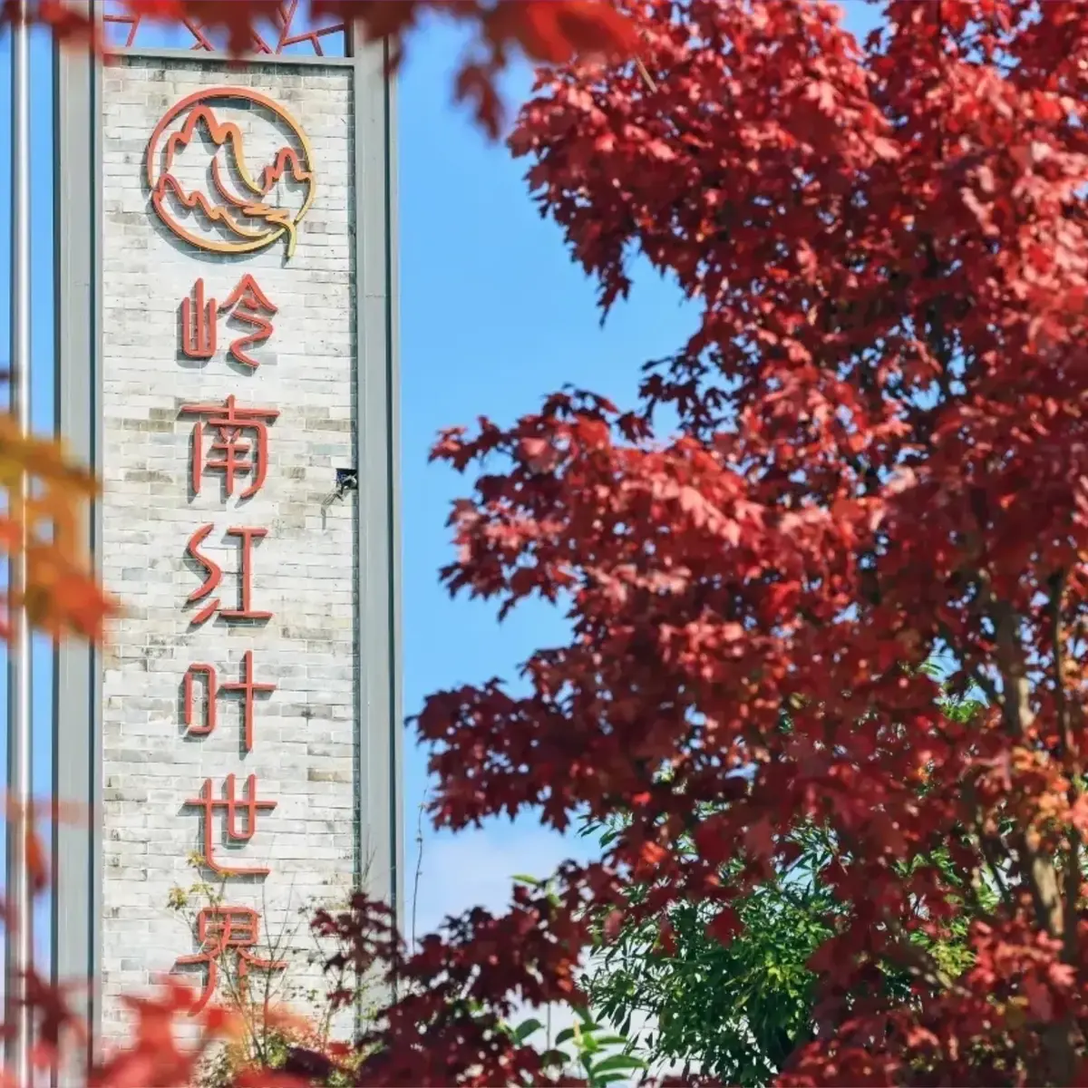 大圖