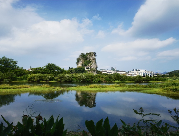 大圖
