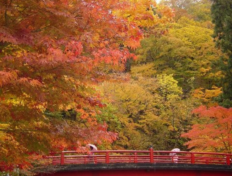 大圖