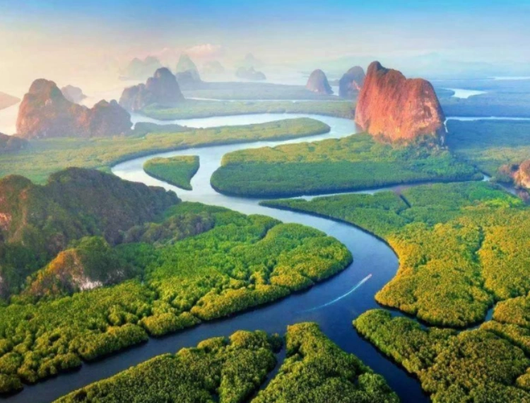 大圖