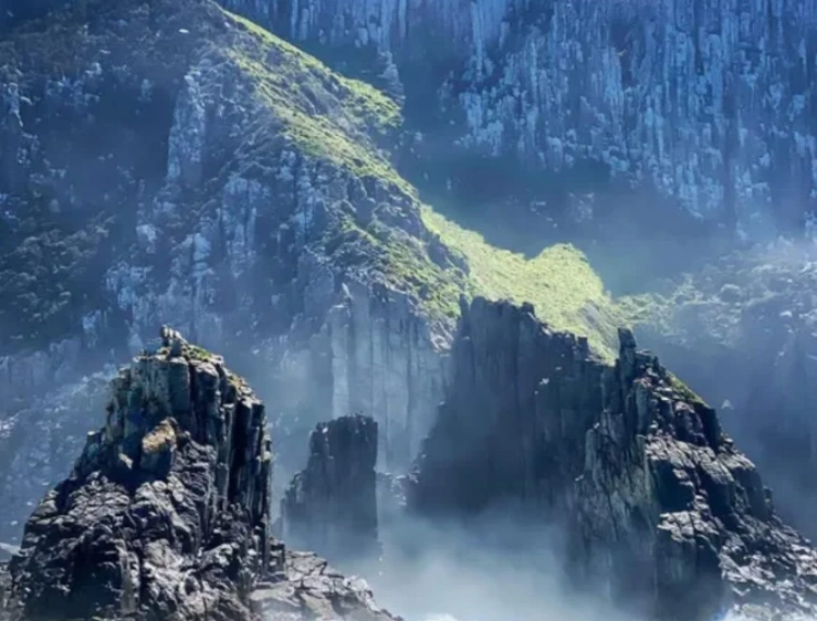 大圖