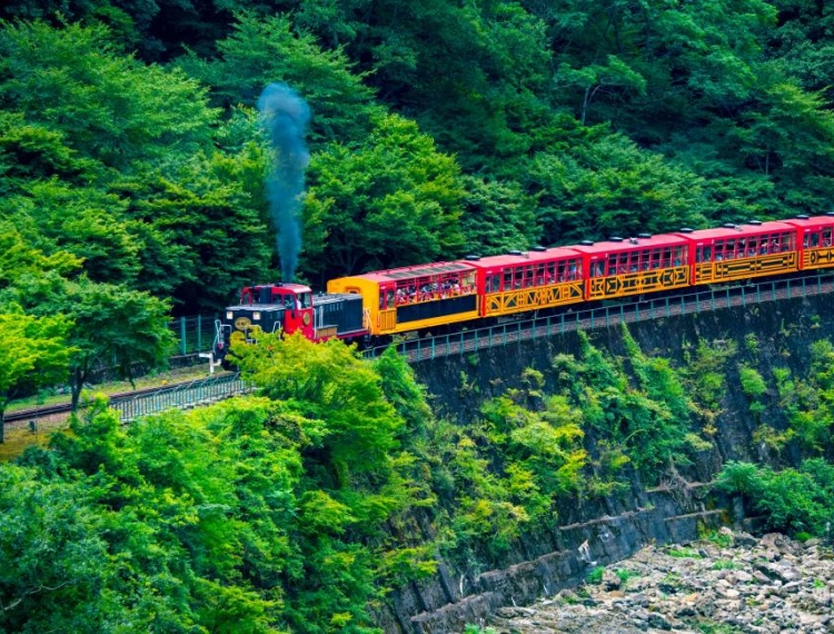 大圖